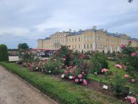 Schloss Ruhental (Rundale)- Rosengarten
