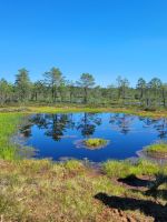 Lahemaa NP Moor Viru Rabu