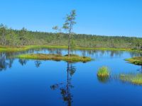 Lahemaa NP Moor Viru Rabu