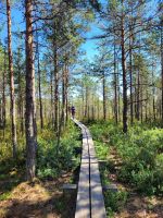 Lahemaa NP Moor Viru Rabu