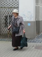 Vilniuser Dame