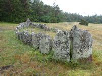 Gotland: Rundfahrt: Djupvik: Jungbronzezeitliche Schiffssetzung