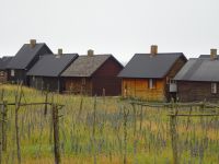 Gotland: Rundfahrt: Djupvik