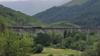 Jacobite Train auf dem Glenfinnan Viaduct 