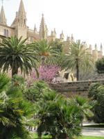 Kathedrale La Seu Palma