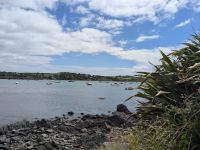 Schull