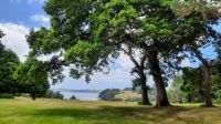 Trelissick Garden