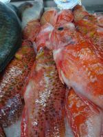 ...lecker: der Fisch Boca Negra