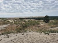 Tag 4 - Kurische Nehrung - Auf der Hohen Düne