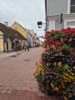 Tag 7 - Pärnu - Eindrücke (2)