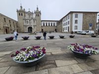 Viseu (6).jpg