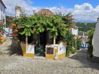 Obidos (5).jpg