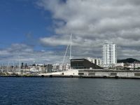 Whale Watching Tour (2)