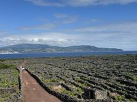 Wanderung auf Pico (9)