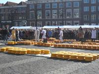 Käsemarkt Alkmaar