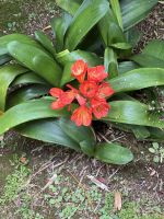 ...im Borges Park (4)