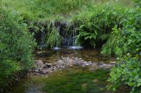075 - Glencoe