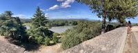 Avignon