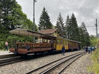 der ganze Zug