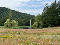 13. Tag – Fakultativer Ausflug nach Vancouver Island – Besuch der Butchart Gardens