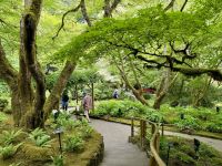 13. Tag – Fakultativer Ausflug nach Vancouver Island – Besuch der Butchart Gardens – Japanischer Garten