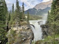 9. Tag – Icefields Parkway – An den Athabasca Falls