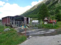 mobiler Melkstand, Val Roseg, Pontresina, Schweiz