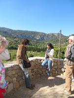 Weingut Son Puig