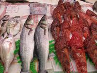 Fischstand Markthalle Palma