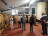 Führung durch das Weingut Madonna delle Vittorie, Linfano