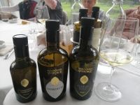 Mittagessen mit Verkostung von Wein und Olivenöl, Weingut Madonna delle Vittorie in Linfano