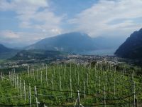 Ausflug in den Norden des Gardasees: Blick Richtung Gardasee
