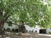 Herrenhaus Alfabia