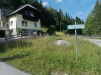 Besichtigung des Fossilienmuseums in Rußbach
