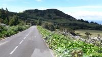 Hortensienlandschaft