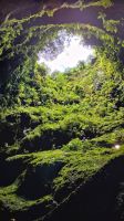 Der erloschene Vulkan - Algar do Carvao
