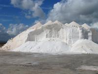 mallorquinisches Salz