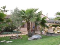 Frühstücksterasse auf Ses Rotes Velles