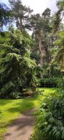 170 Arley Arboretum and Gardens