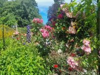 Motive aus Buchards Garden (5)