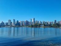 Skyline Down Town (1)