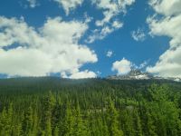 Impressionen aus den Rockies (232)