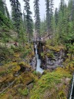 Maligne Canyon (21)