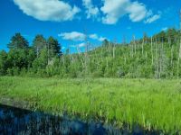 Die Weiten Ontarios (22)