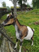 Hast du was für mich?