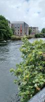 Fluss Corrib