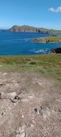 Blick auf die Blasket Inseln
