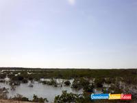 MangrovengÁrtel bei Cayo Santa Maria