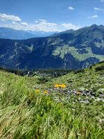 Blick Stubaier Alpen