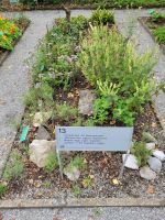 Kräutergarten in Ballenberg 